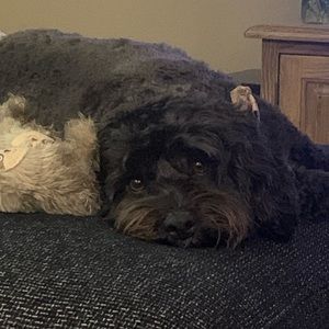 Meet your Posher, Laura